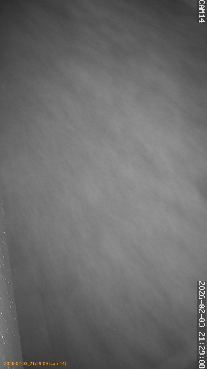 thumbnail_20260203212909