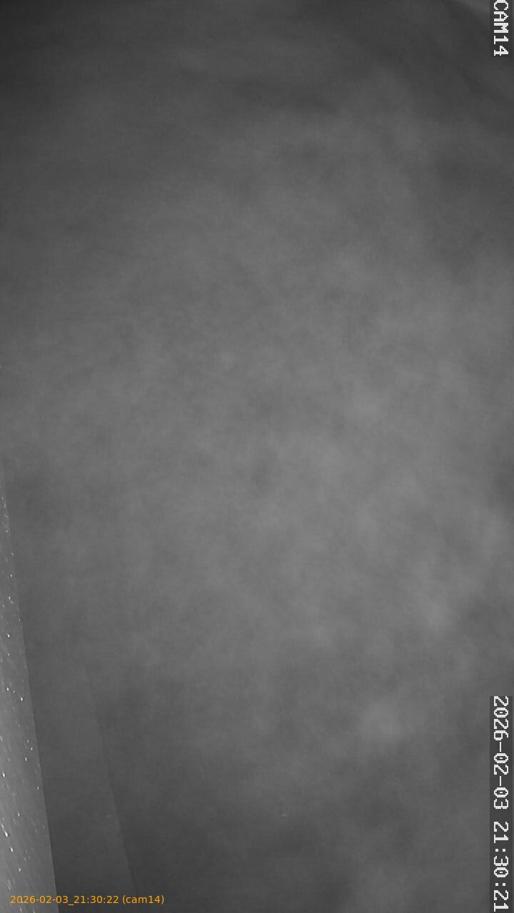 thumbnail_20260203213022