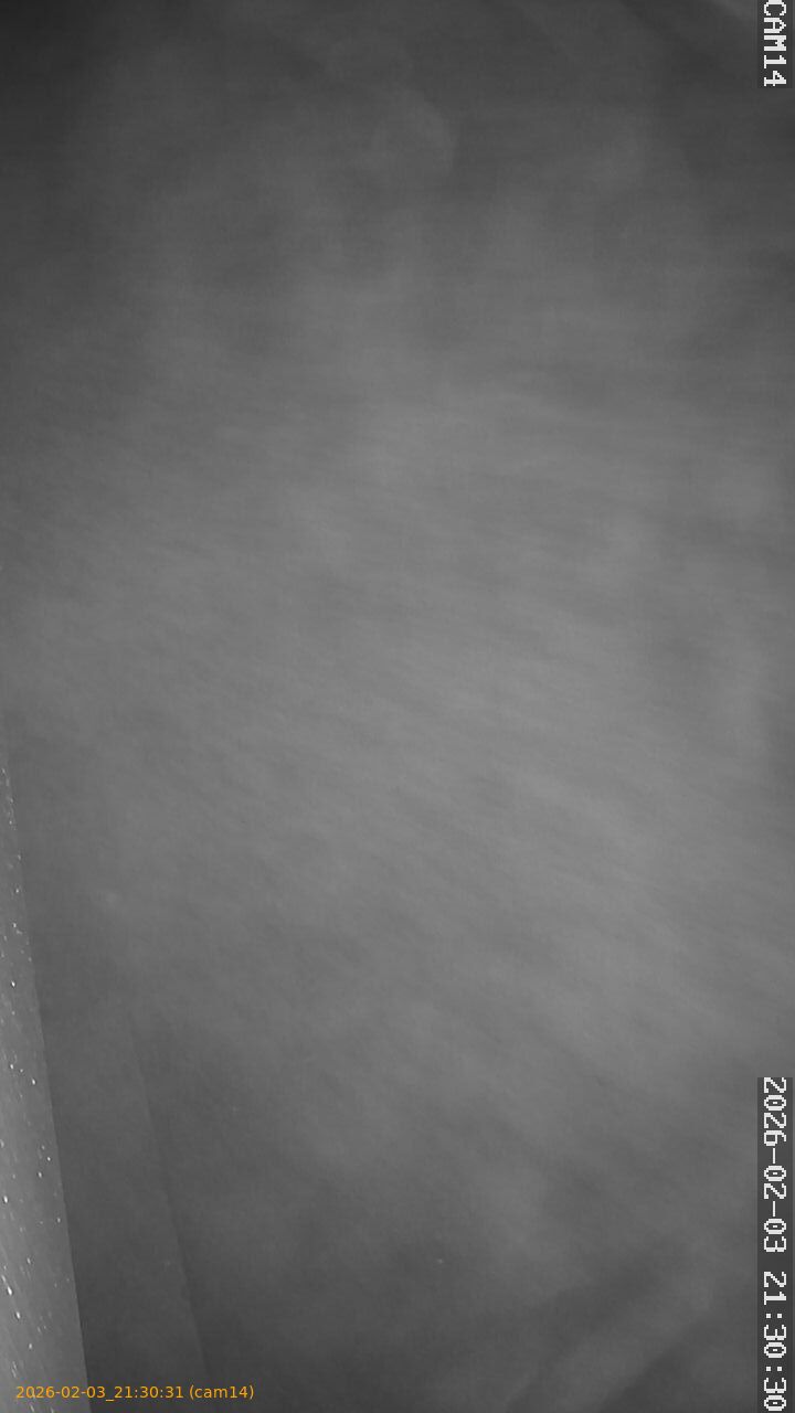 thumbnail_20260203213031