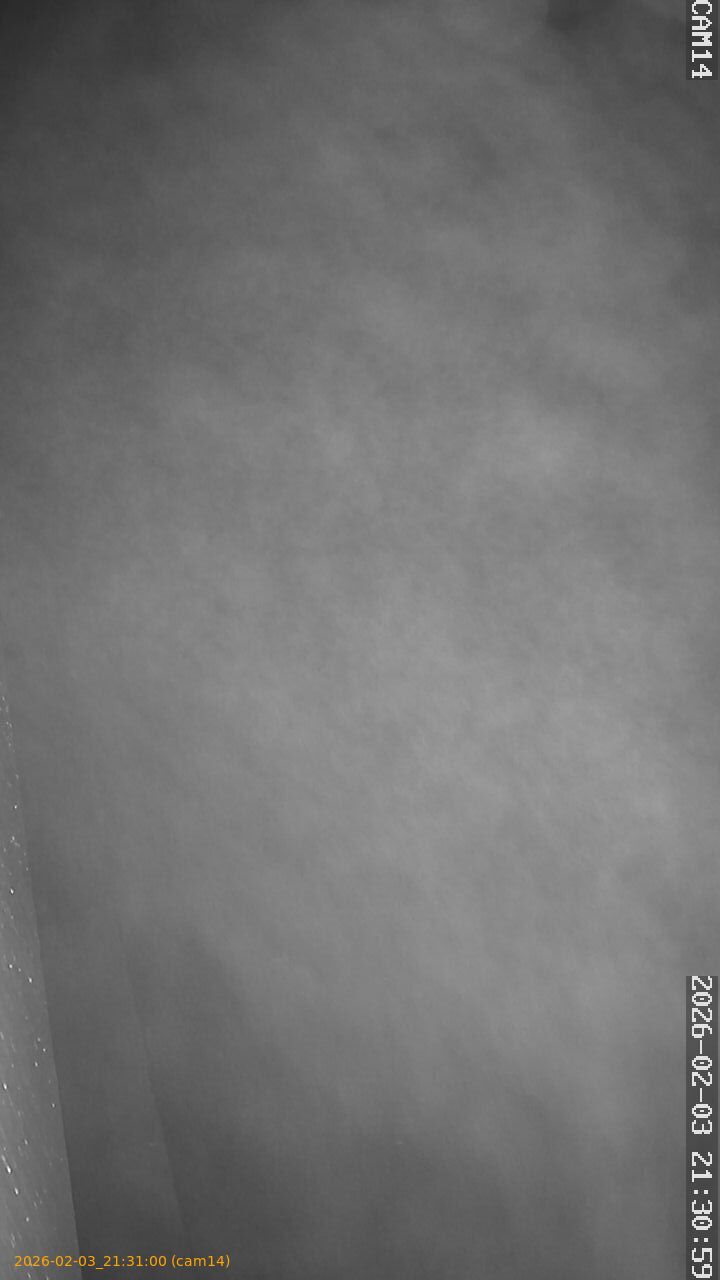 thumbnail_20260203213100