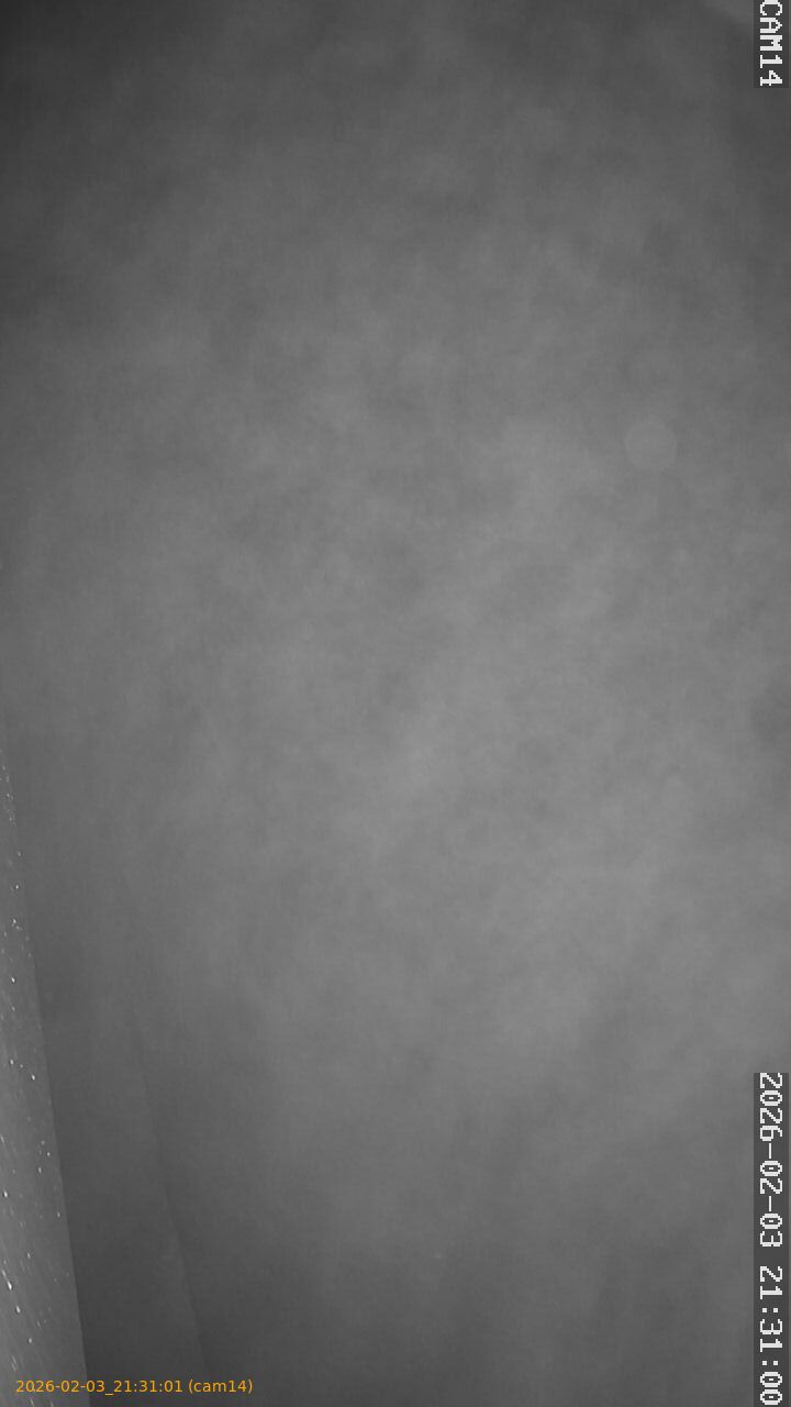 thumbnail_20260203213101