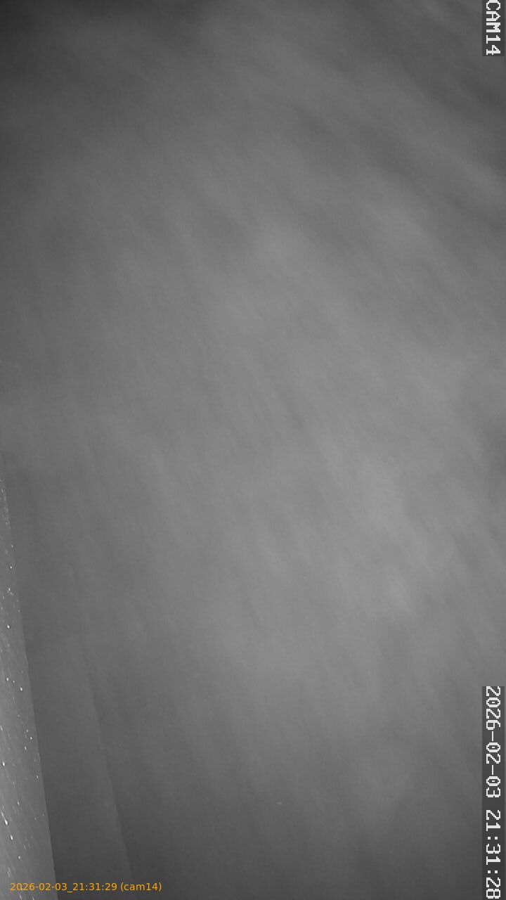 thumbnail_20260203213129