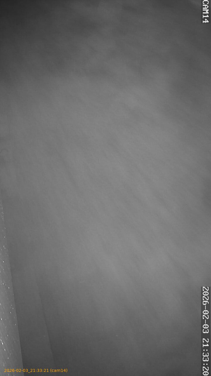 thumbnail_20260203213321