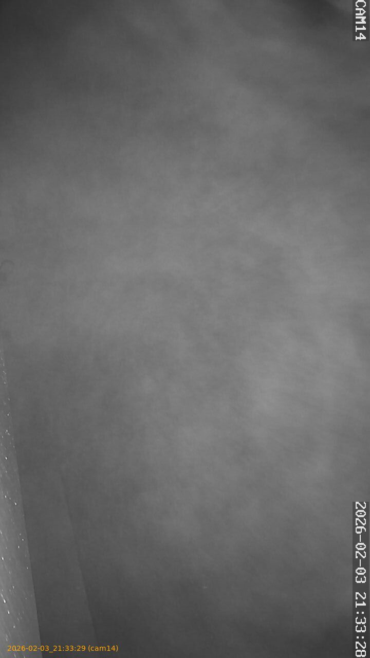 thumbnail_20260203213329