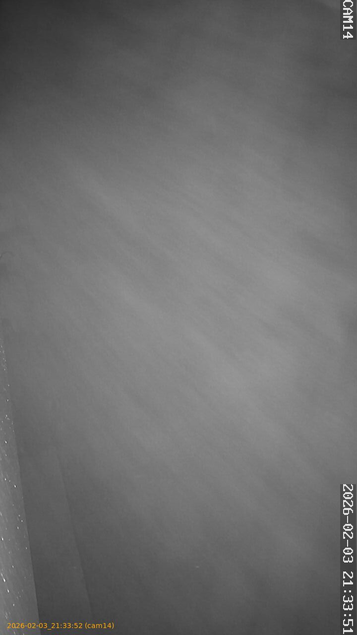 thumbnail_20260203213352