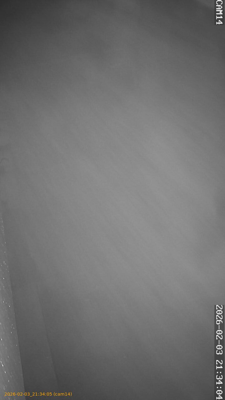 thumbnail_20260203213405