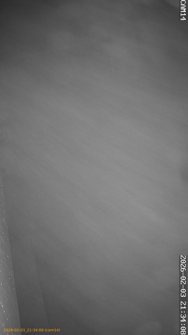 thumbnail_20260203213409