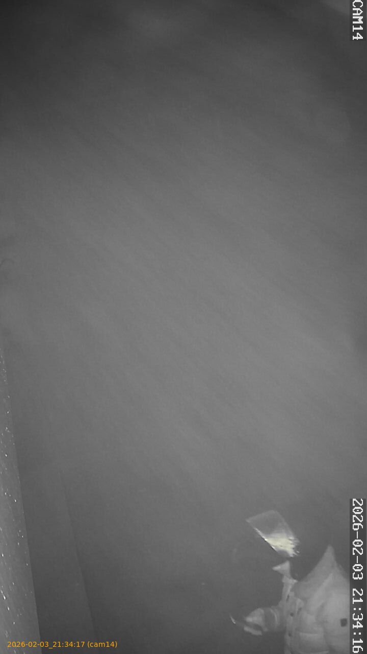 thumbnail_20260203213417