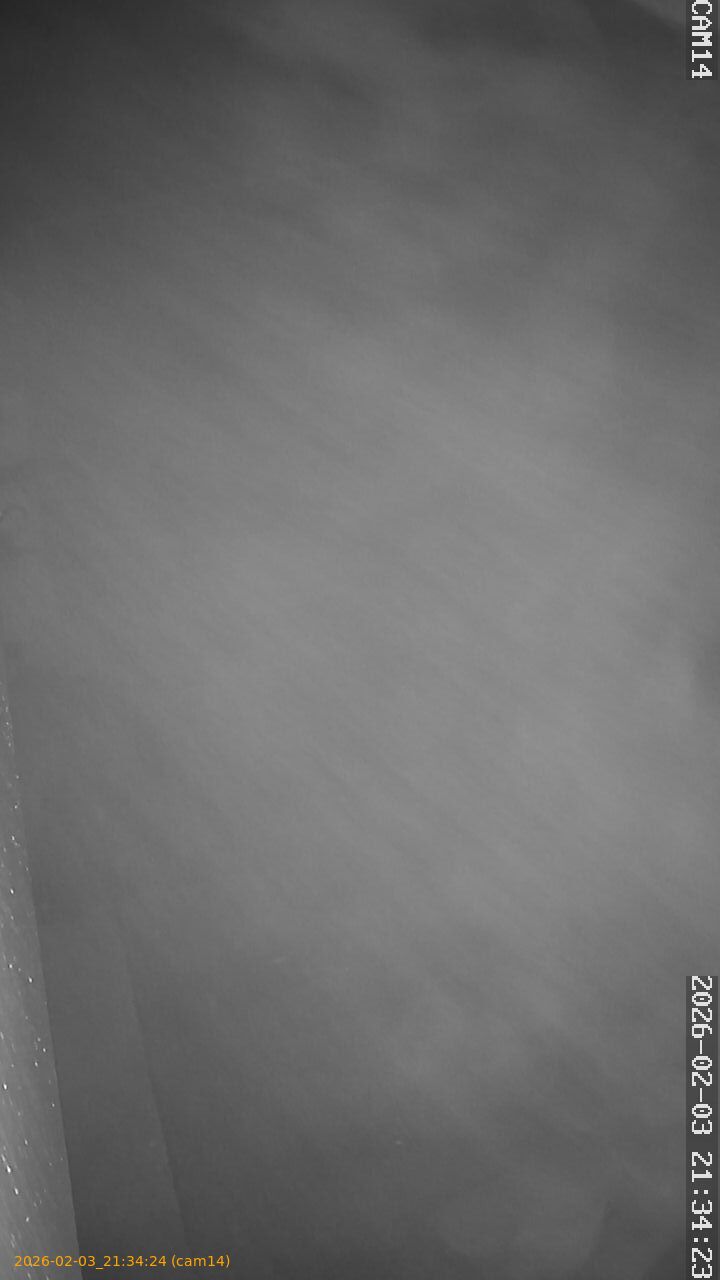 thumbnail_20260203213424