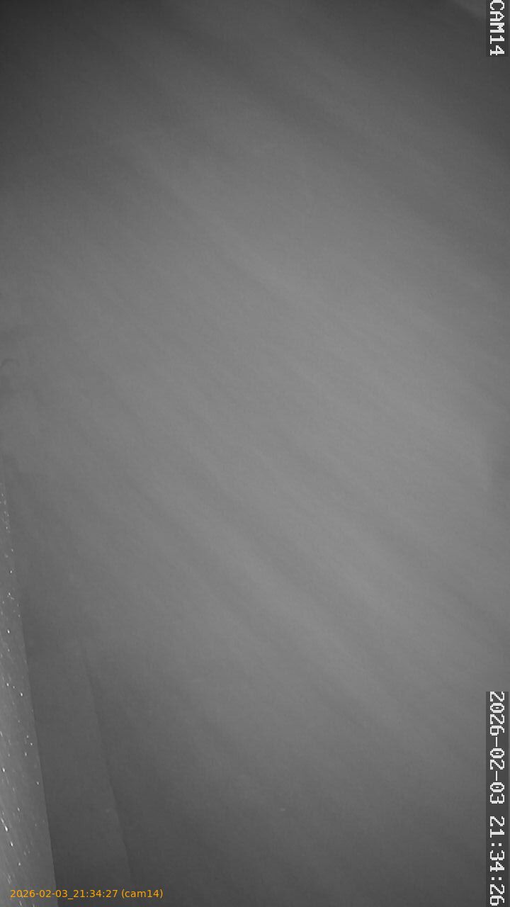 thumbnail_20260203213427