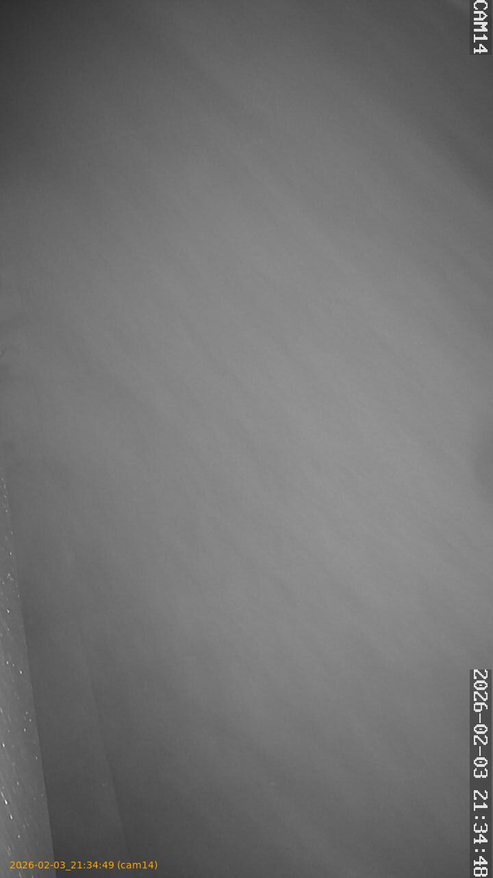 thumbnail_20260203213449