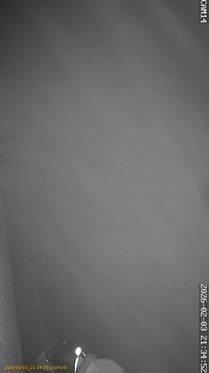 thumbnail_20260203213453