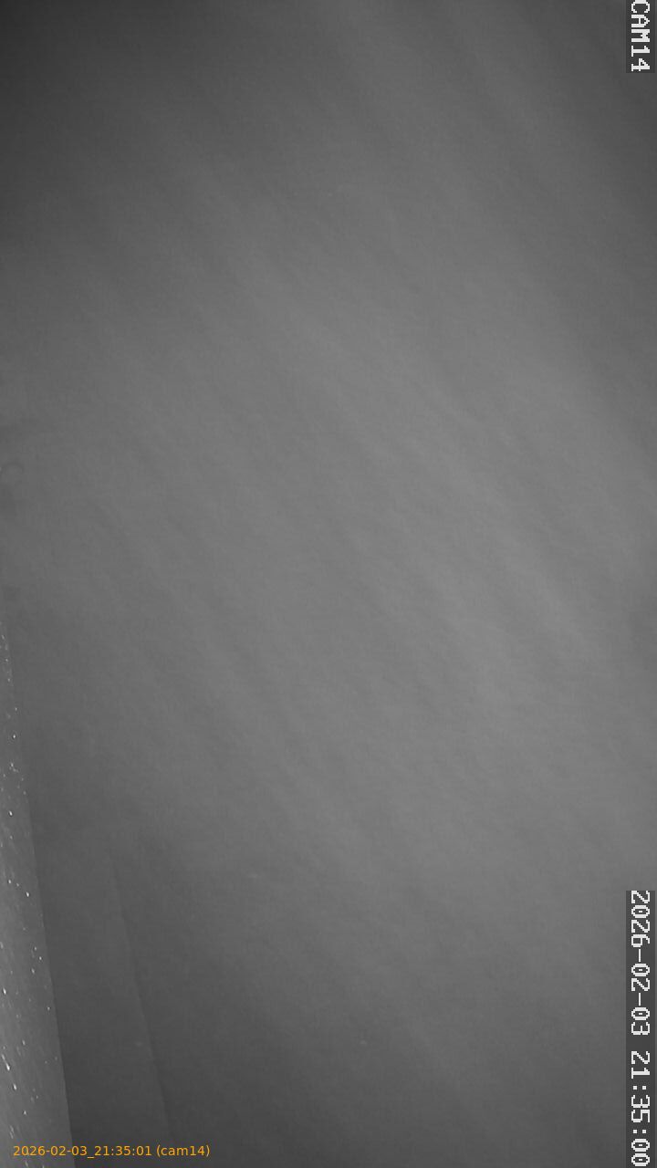 thumbnail_20260203213501