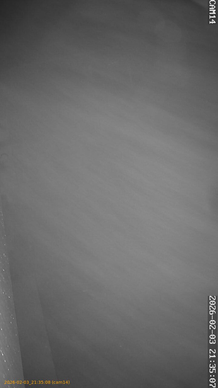 thumbnail_20260203213508