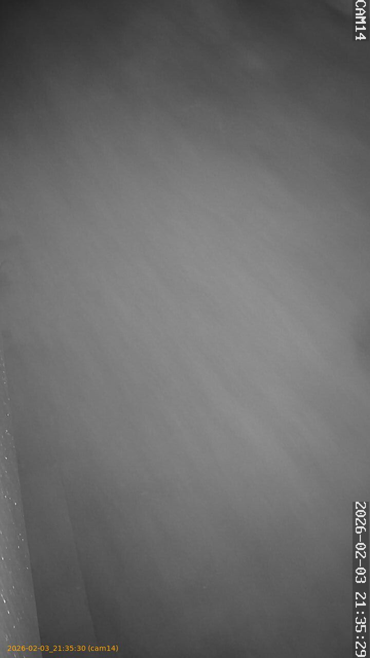 thumbnail_20260203213530