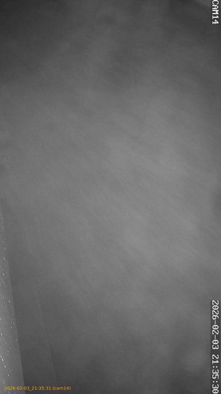 thumbnail_20260203213531