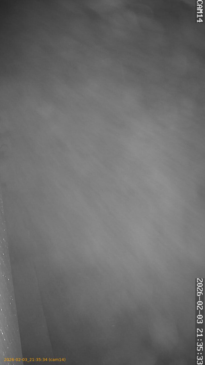 thumbnail_20260203213534