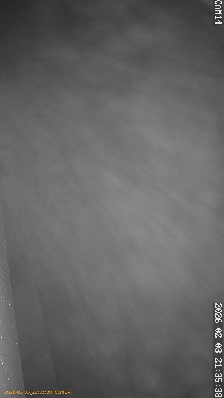 thumbnail_20260203213539