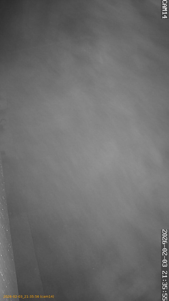 thumbnail_20260203213556