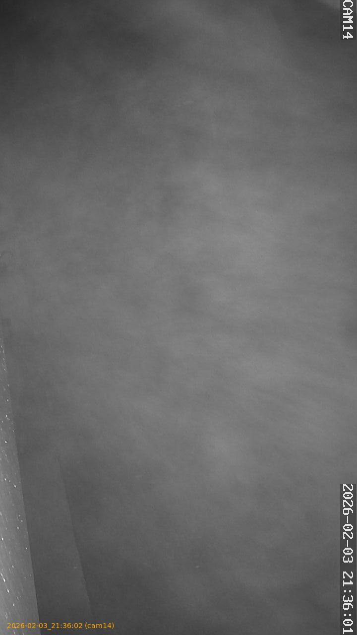 thumbnail_20260203213602