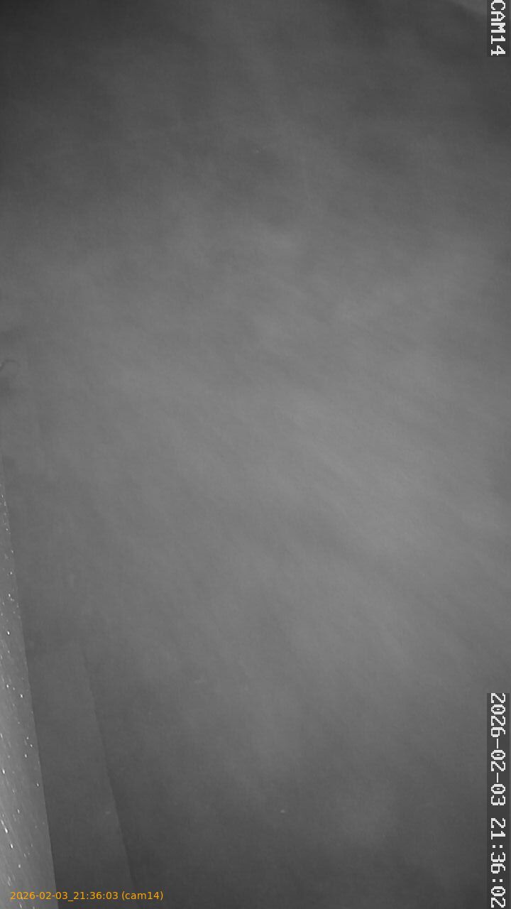 thumbnail_20260203213603