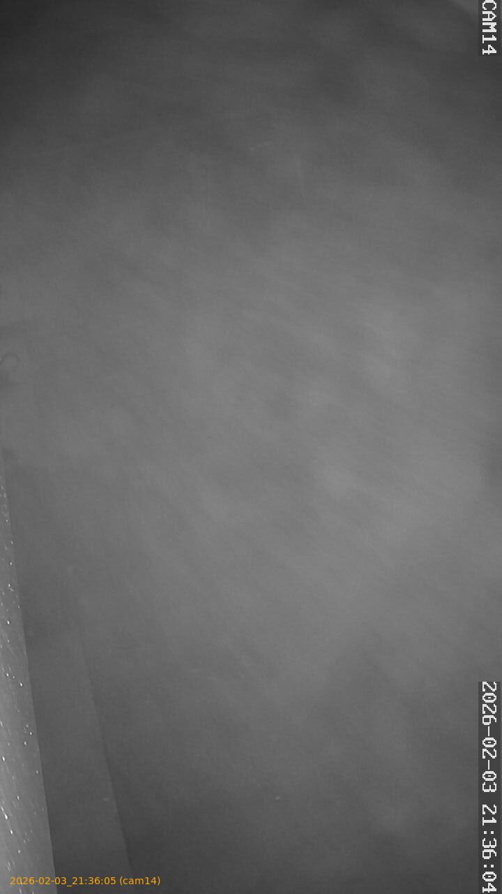 thumbnail_20260203213605