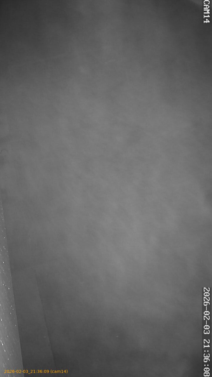 thumbnail_20260203213609