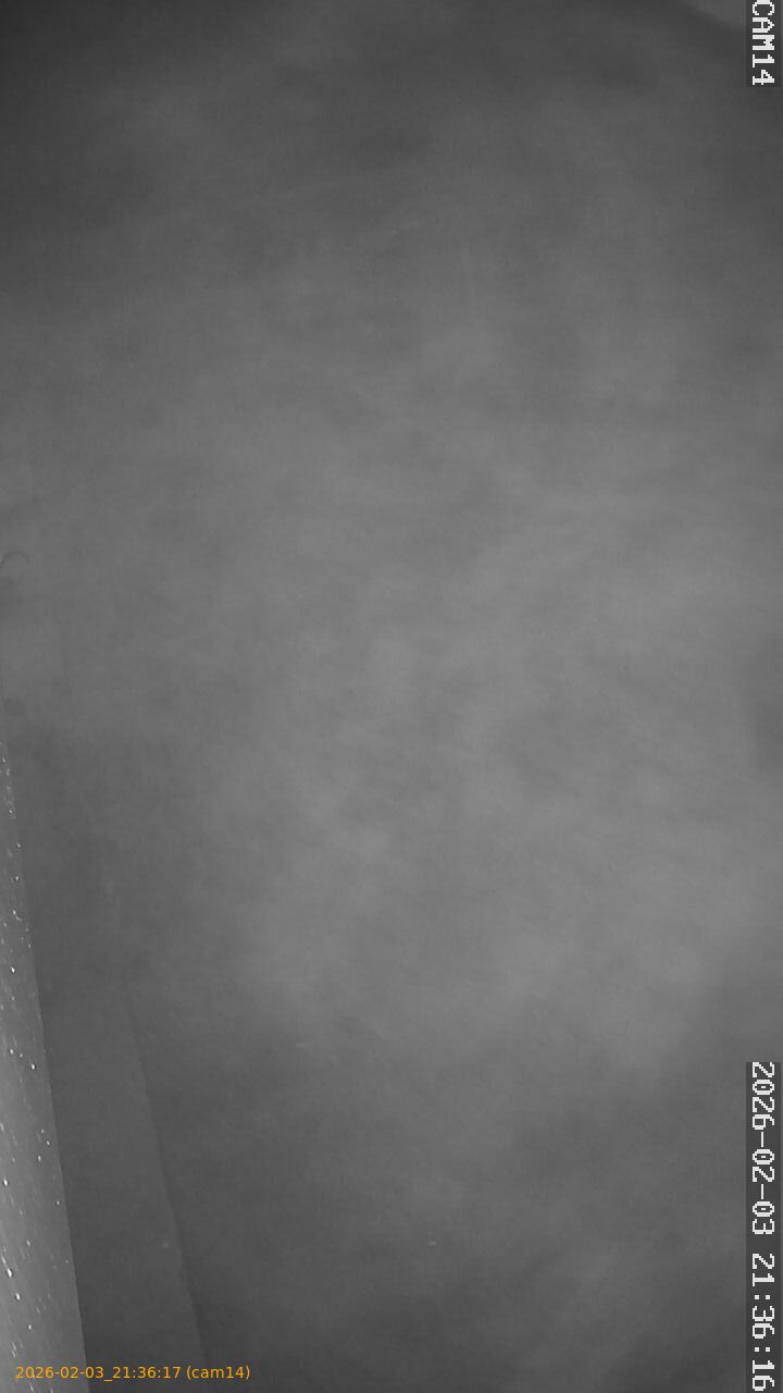 thumbnail_20260203213617