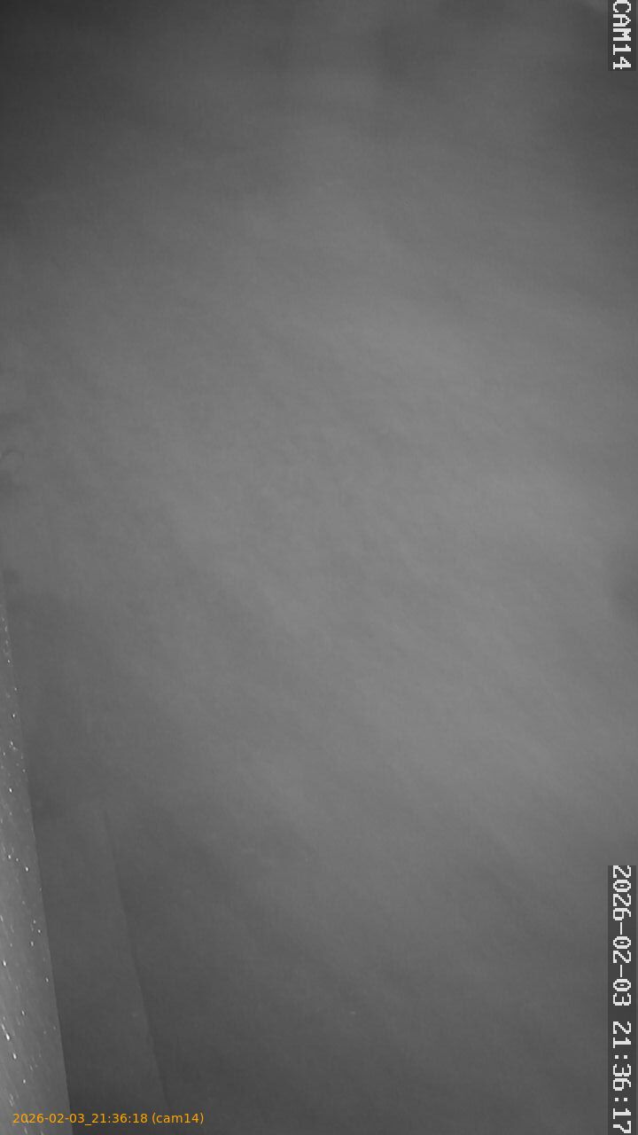 thumbnail_20260203213618