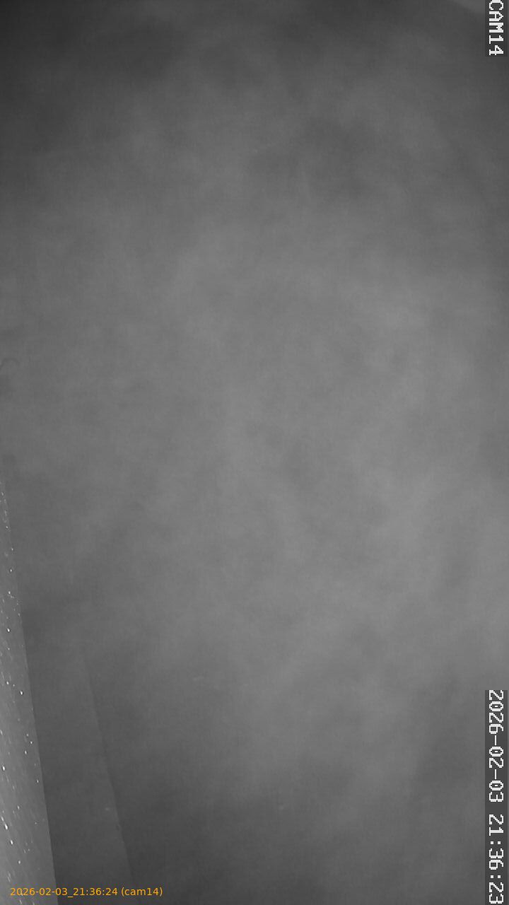 thumbnail_20260203213624