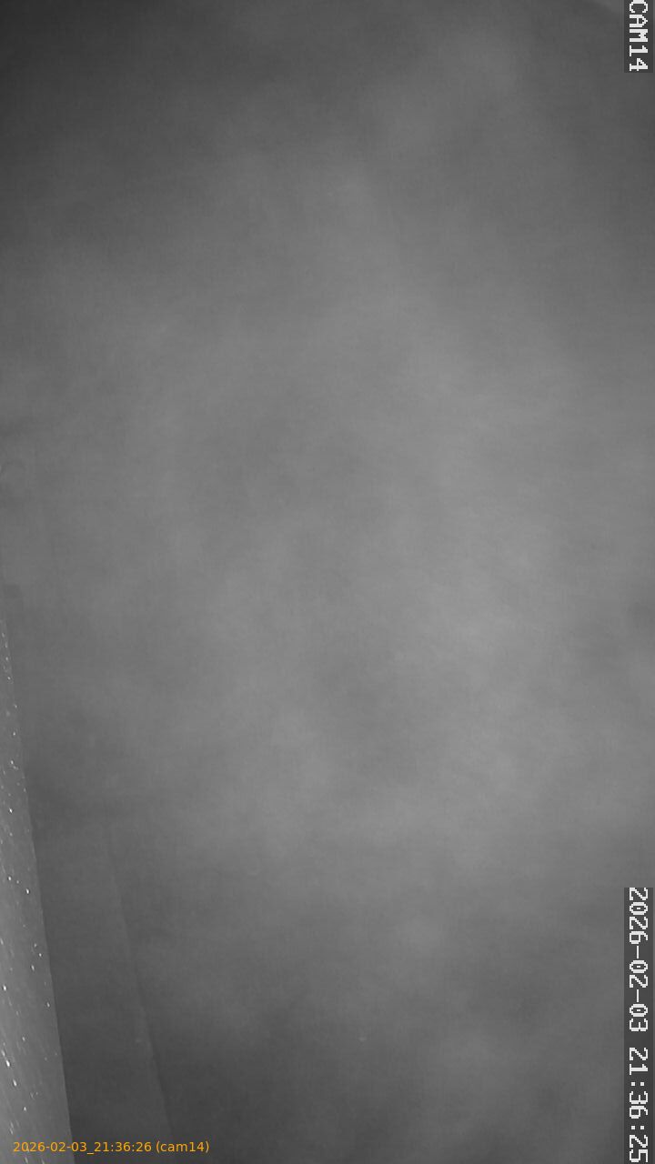 thumbnail_20260203213626