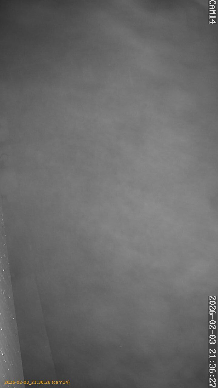 thumbnail_20260203213628