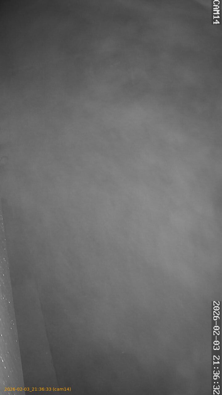 thumbnail_20260203213633