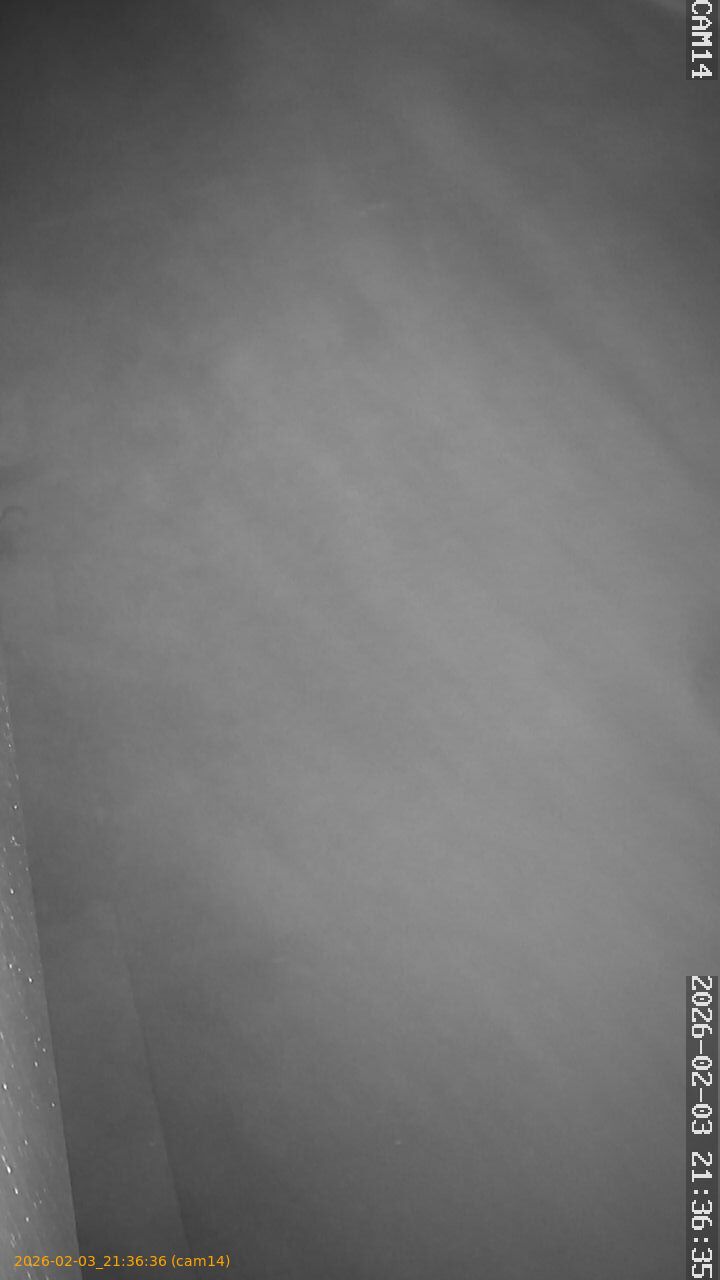 thumbnail_20260203213636