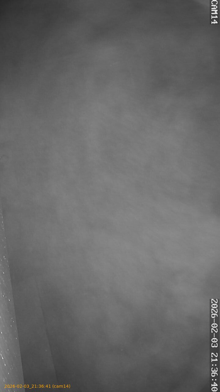 thumbnail_20260203213641