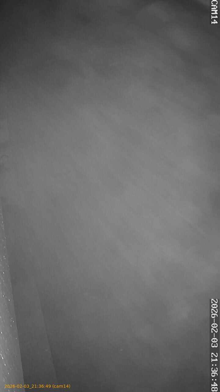 thumbnail_20260203213649