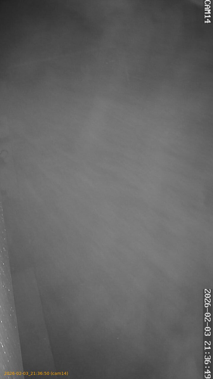 thumbnail_20260203213650