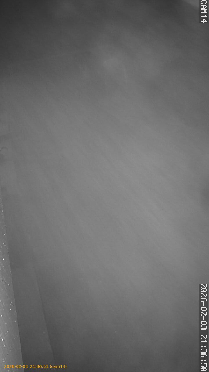 thumbnail_20260203213651