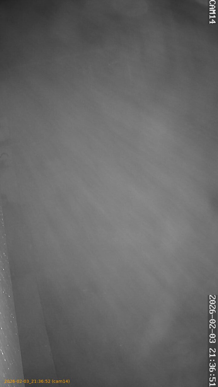 thumbnail_20260203213652