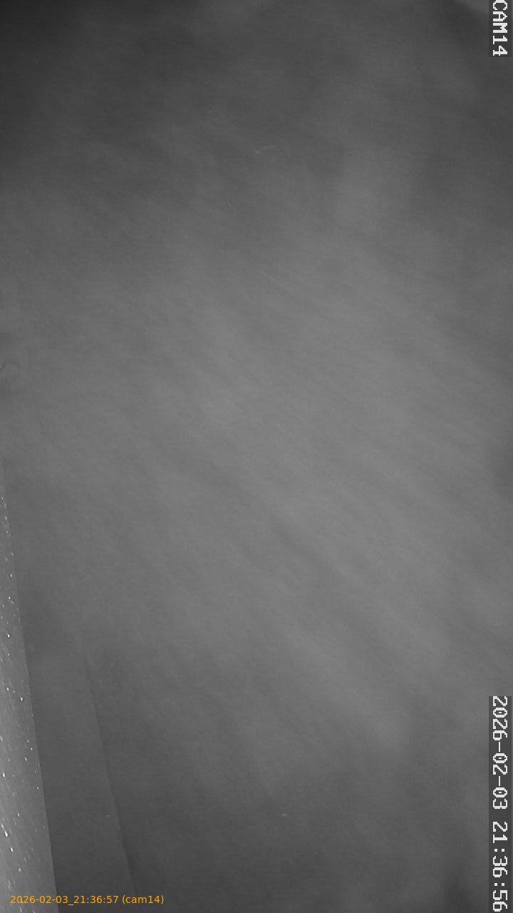 thumbnail_20260203213657