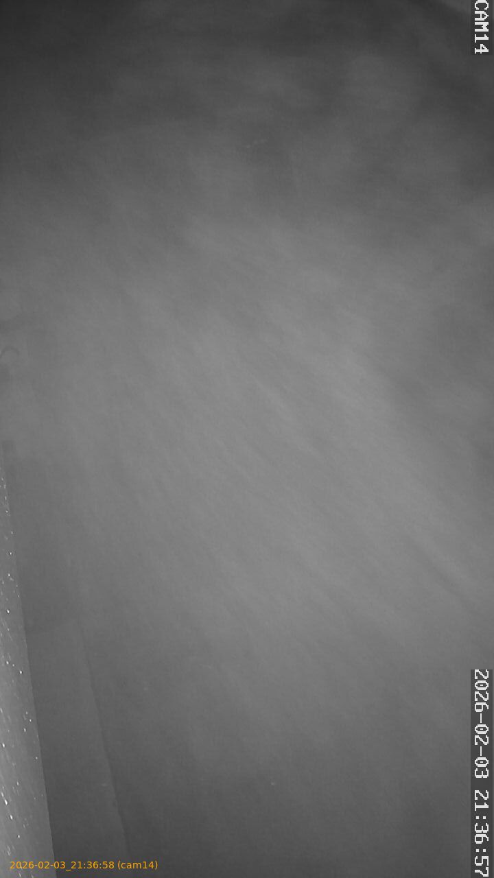 thumbnail_20260203213658