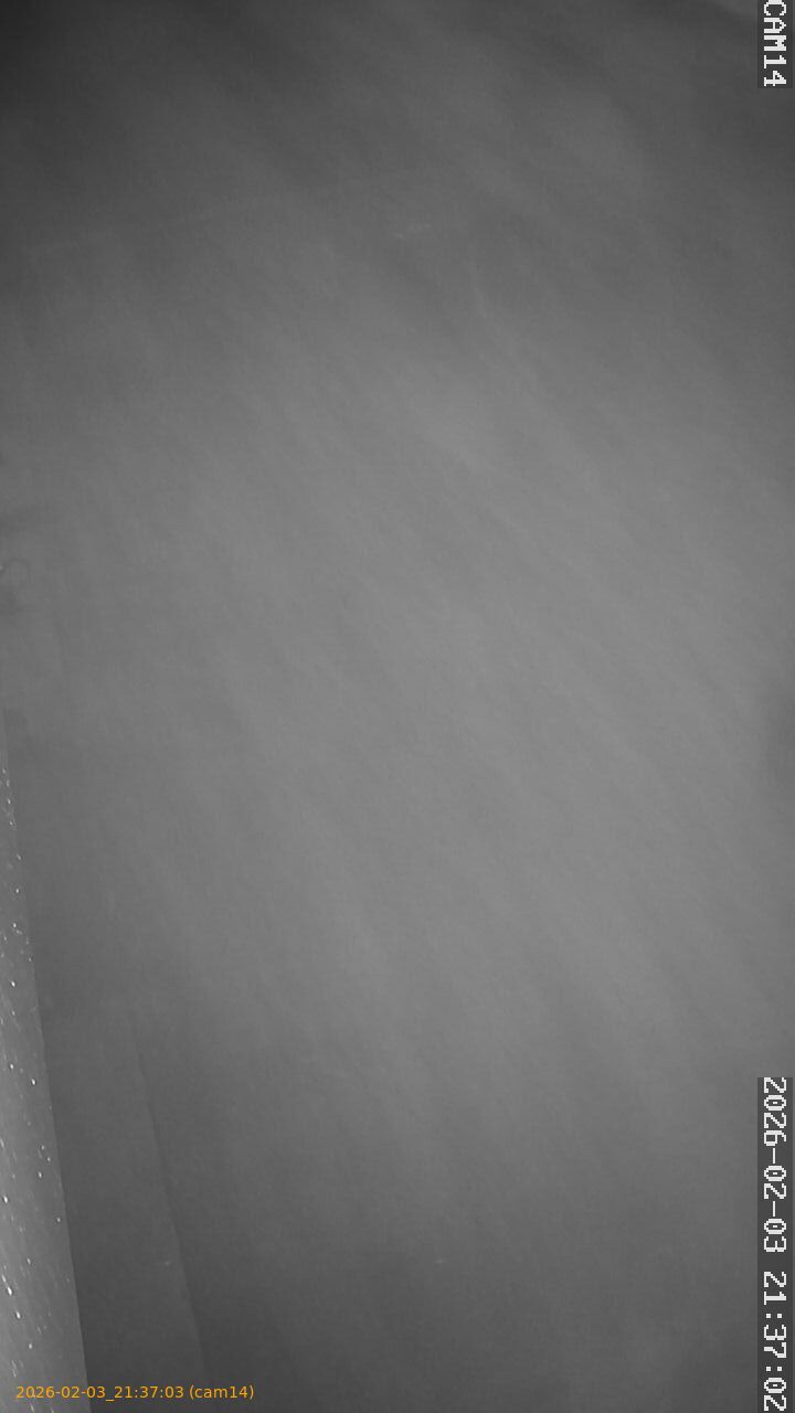 thumbnail_20260203213703