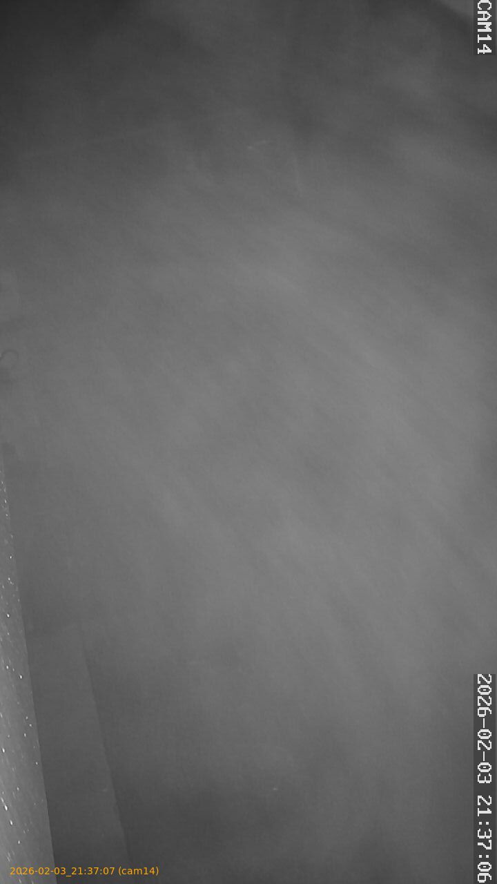 thumbnail_20260203213707