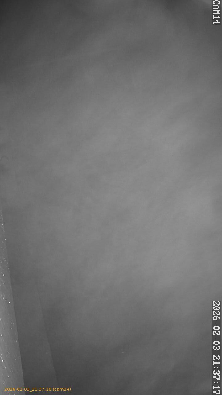 thumbnail_20260203213718