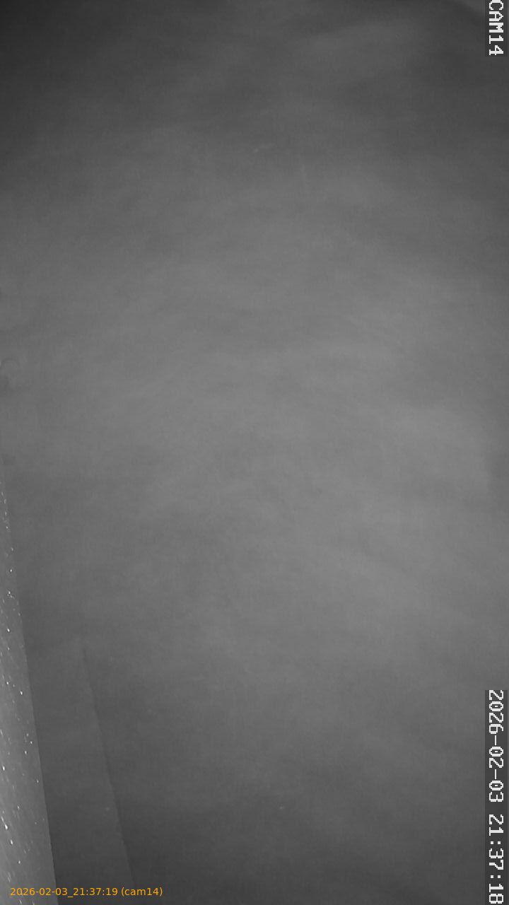 thumbnail_20260203213719