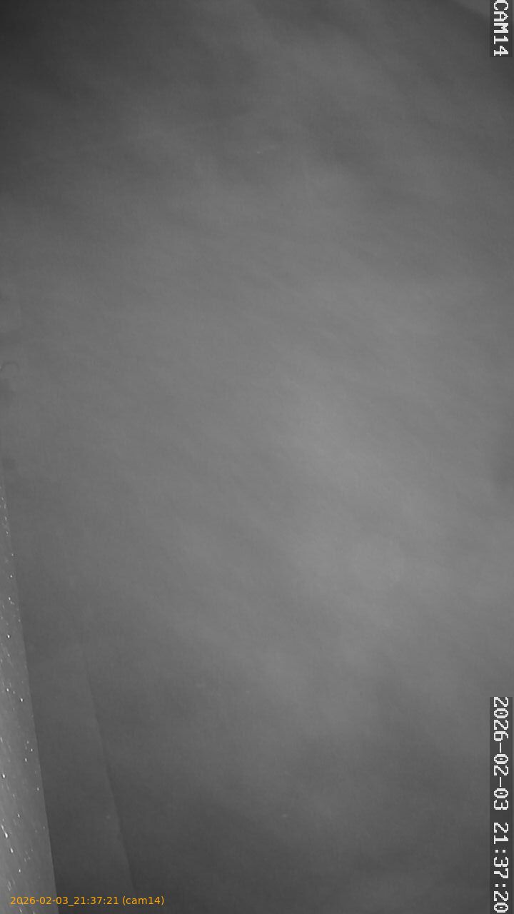 thumbnail_20260203213721