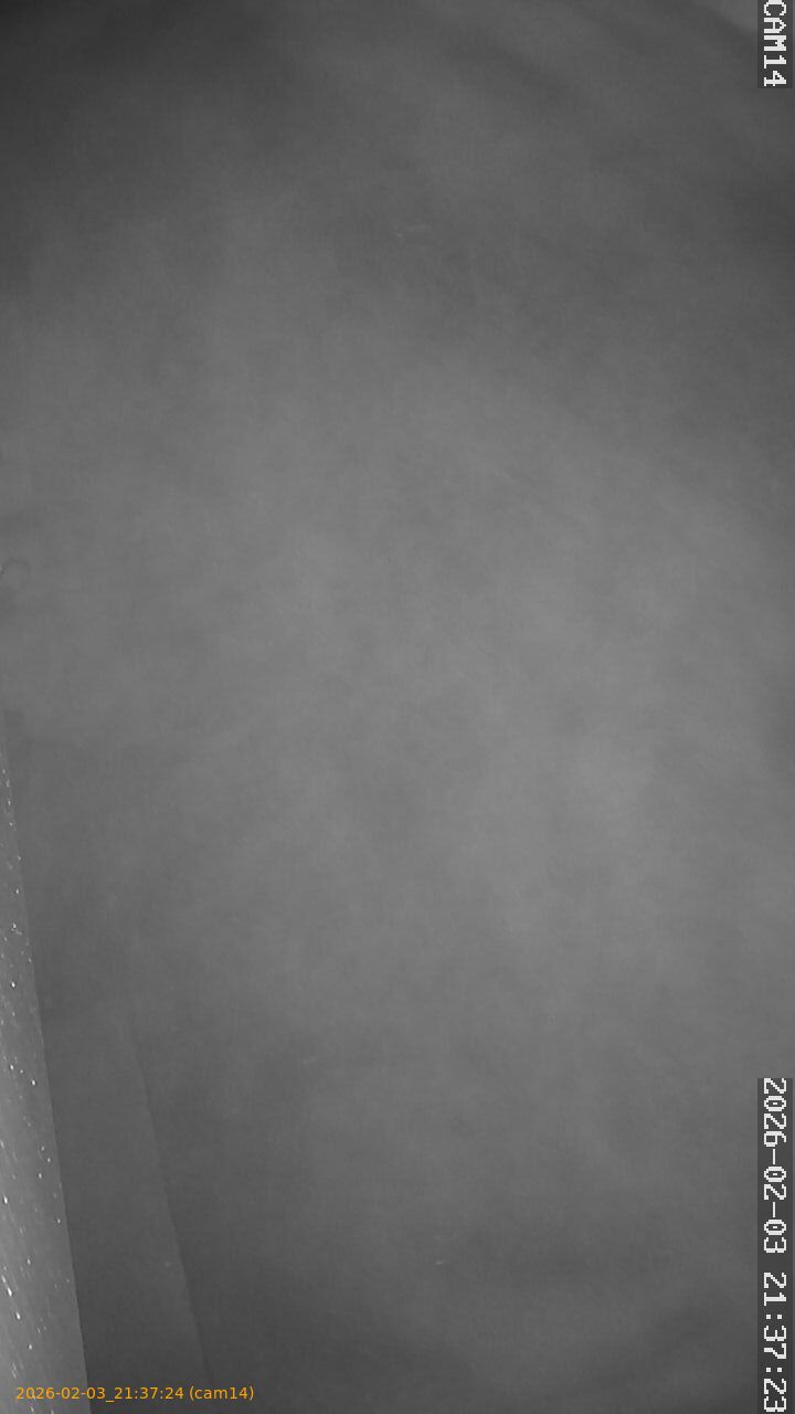 thumbnail_20260203213724