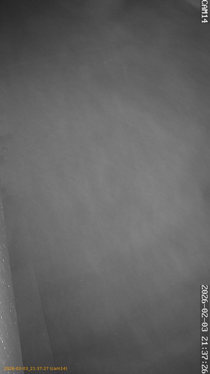 thumbnail_20260203213727