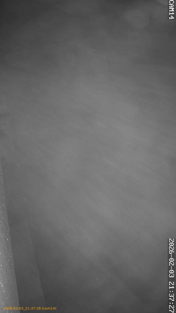 thumbnail_20260203213728