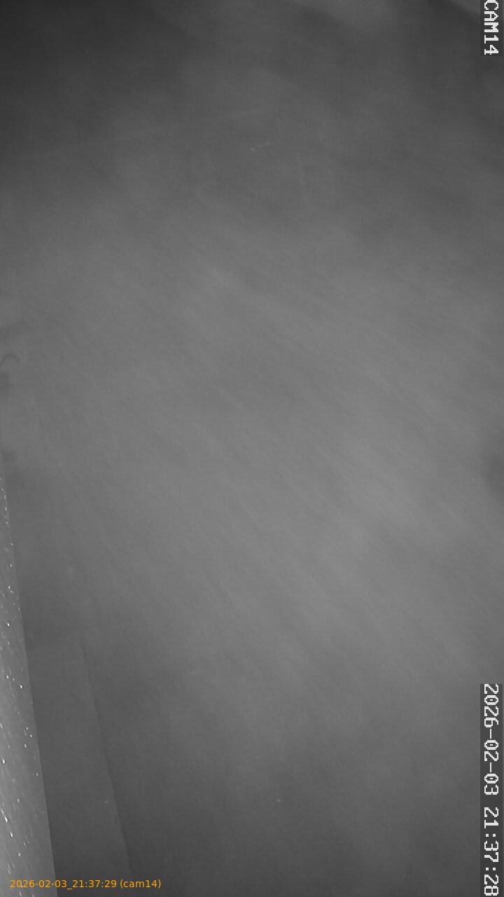 thumbnail_20260203213729